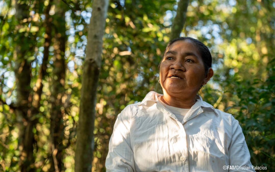 Proyecto Proeza: comunidades nativas y rurales restauran bosques y construyen un futuro sostenible