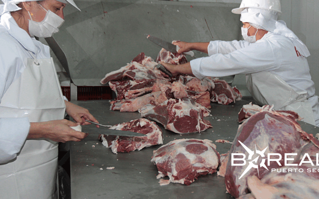Paraguay se mantiene en el top 10 de principales exportadores de carne