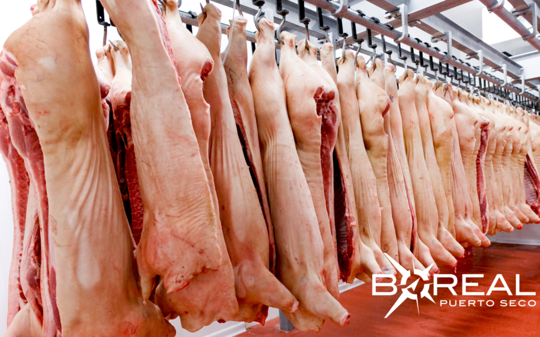 Exportaciones de carne porcina: Taiwán concentra el 86 % de los envíos