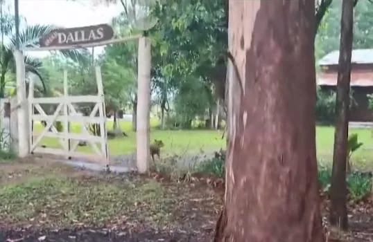 Falleció el segundo niño que había caído a una piscina en Misiones