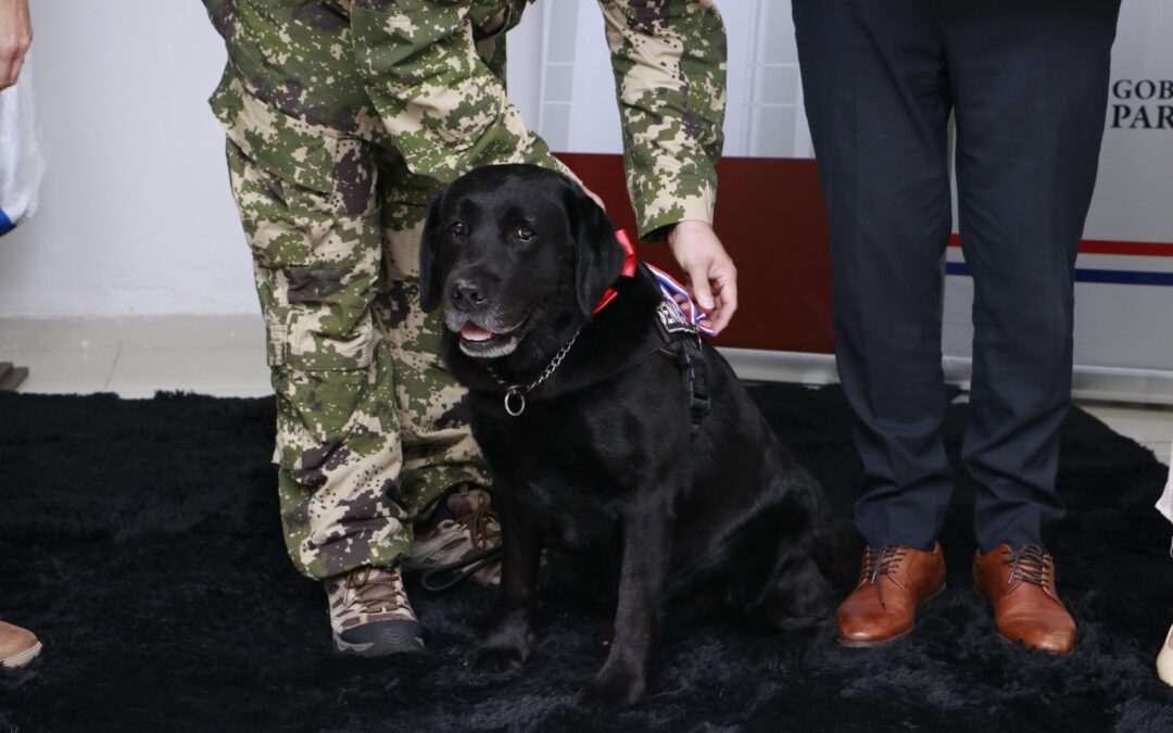 Emotivo homenaje a “Rocky”, el can que dedicó 8 años a la Senad