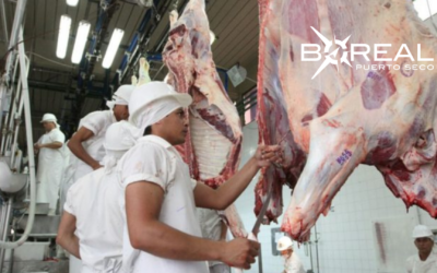 Paraguay y Bolivia abren mercado para exportación e importación de carne