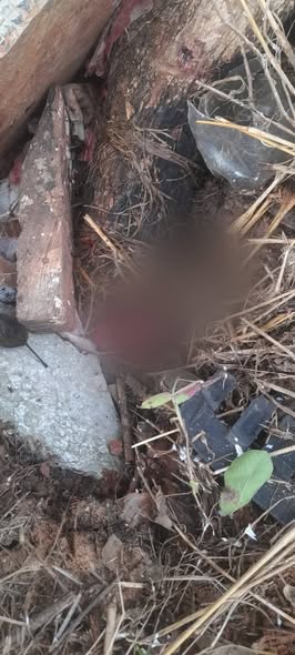 Hallan feto en patio baldío en Limpio