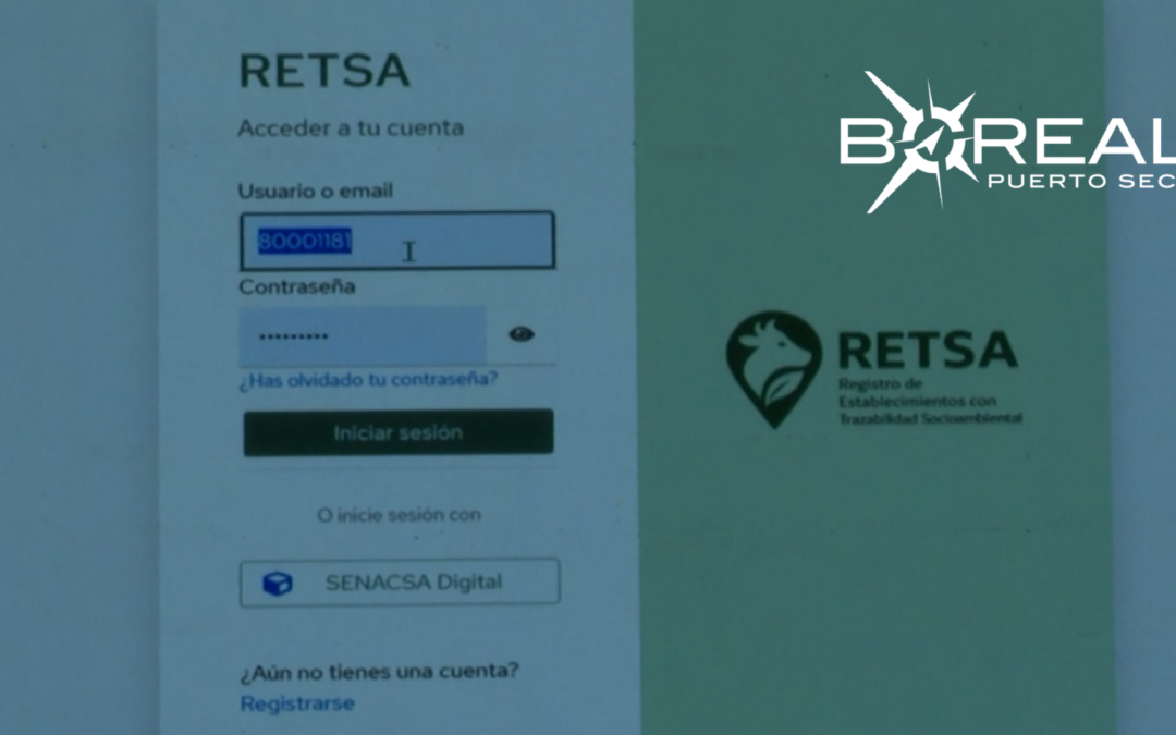Implementan sistema de trazabilidad para envío de carne a mercado premium