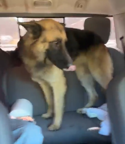 ¡Final feliz! Matrix volvió a casa y se reencontró con Cloe