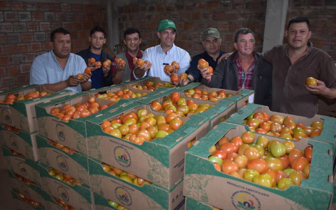 MAG busca fortalecer mercado interno con mecanización y acceso a créditos