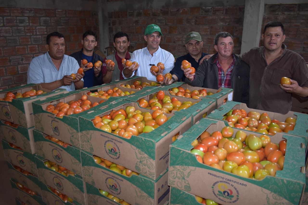 MAG busca fortalecer mercado interno con mecanización y acceso a créditos