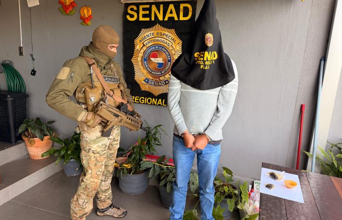 Senad desmantela red de marihuana “ICE” y captura a financista brasileño