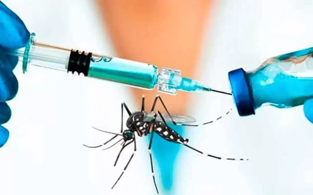 Tras fallecimiento de dos personas, Brasil suspende vacunación contra el dengue