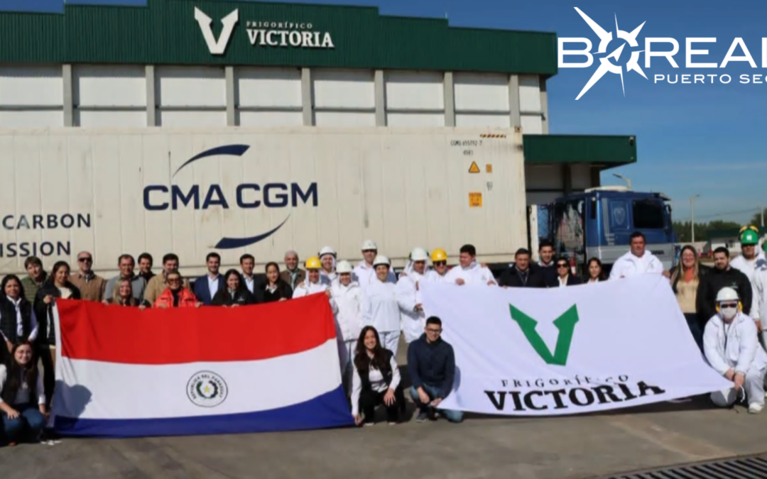 Emiratos Árabes recibe primera exportación de carne de cordero paraguayo 