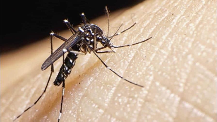 Paraguay reduce circulación de dengue gracias a transformación digital