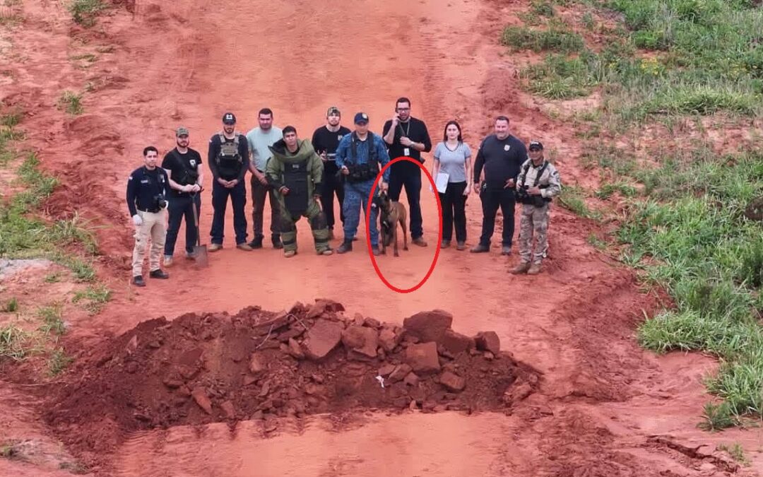 Canindeyú: Policía detecta explosivo colocado en un camino vecinal