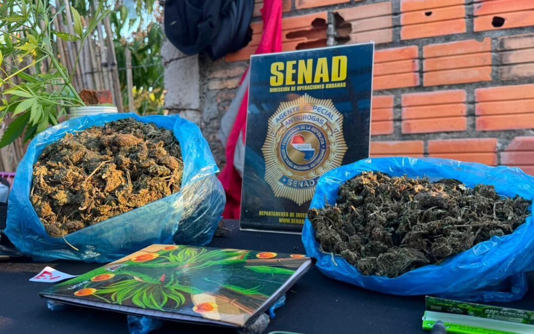 Desmantelaron un esquema de microtráfico en Ypané