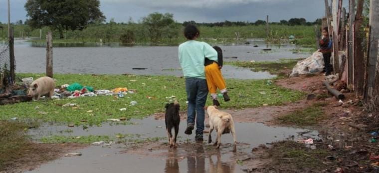 Ante posible llegada de “El Niño”, preparan albergues para animales