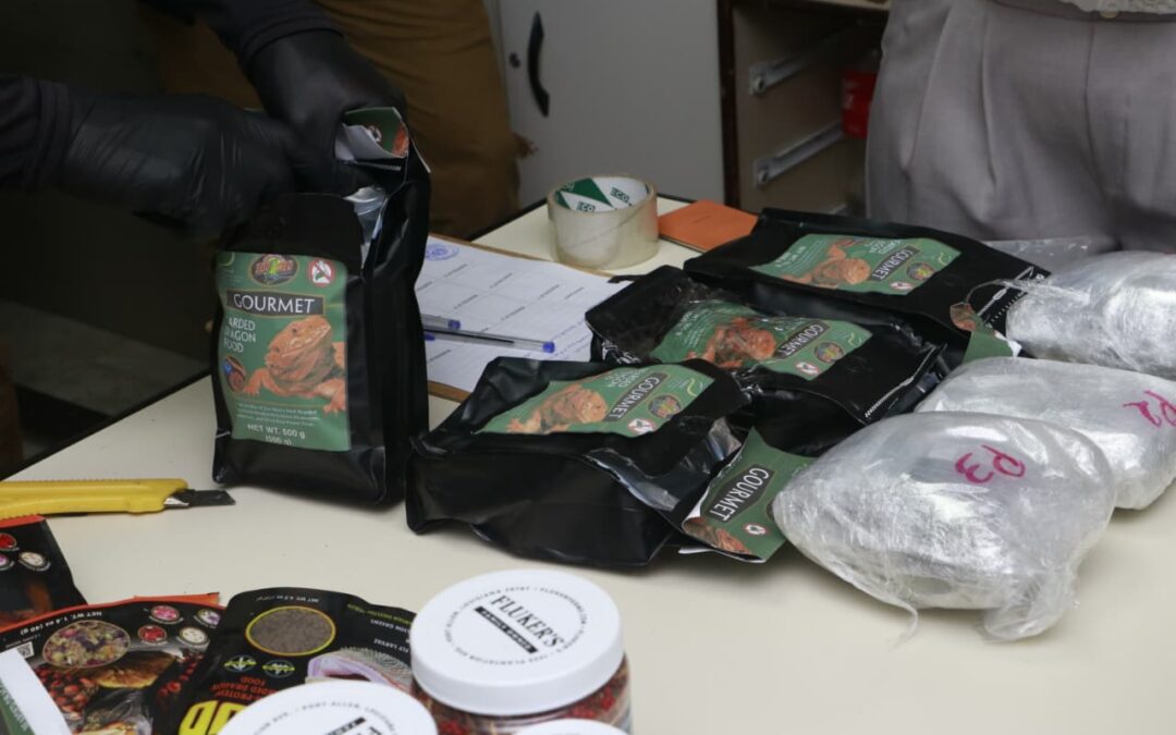Traficantes camuflaron drogas en alimentos para reptiles
