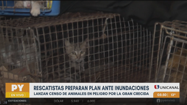 Preparan plan de contingencia para rescatar animales ante fenómeno de «El Niño»