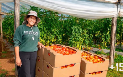 Programa Hambre Cero: más de 700 mipymes fueron incorporadas desde su implementación